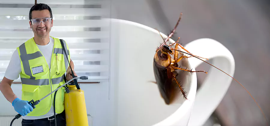 German Roach Infestation Treatment Acworth