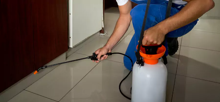 Indoor Mosquito Treatment in Acworth