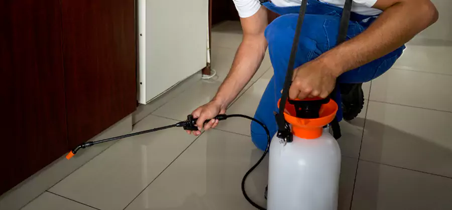 Indoor Insect Killer Solutions in Acworth