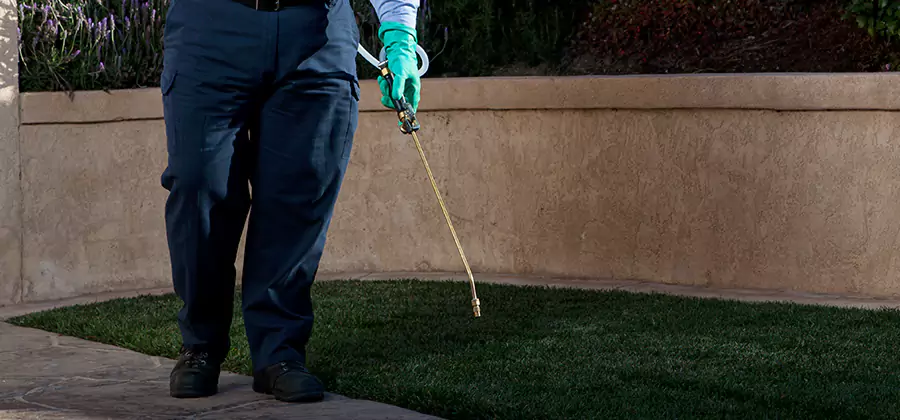 Soil Treatment for New Construction Termites in Acworth