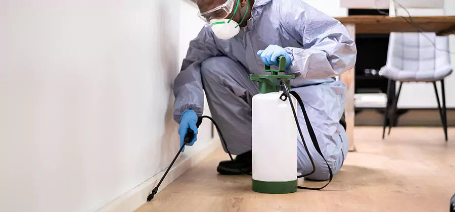 No Tent Termite Extermination With Electric Tool in Acworth