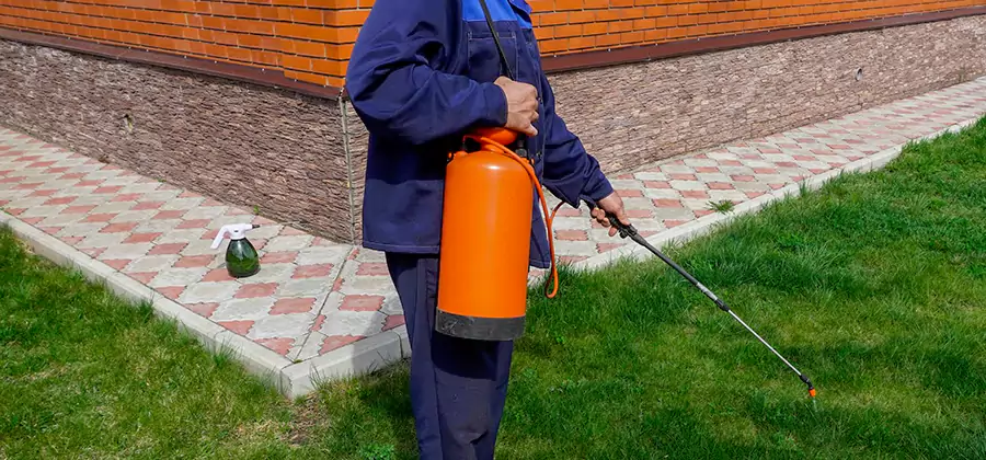 Non Toxic Termite Treatment in Acworth