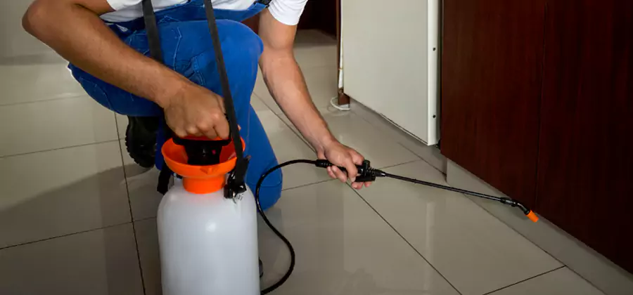 One Time Termite Control in Acworth