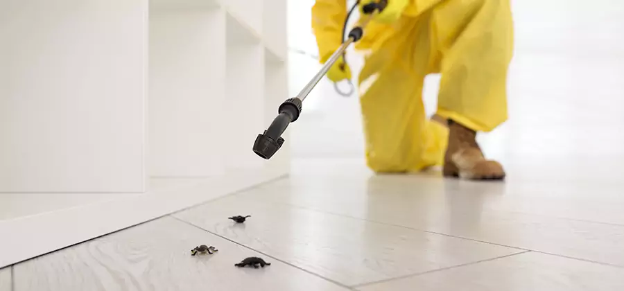 Roach and Bed Bug Exterminator in Acworth