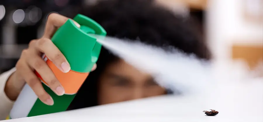 Child Safe Bed Bug Treatment in Acworth