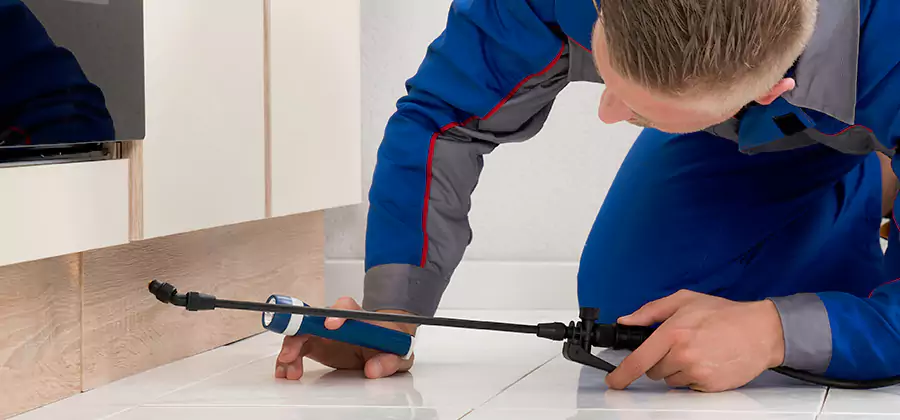 Moisture Treatment For Termite Control Service in Acworth