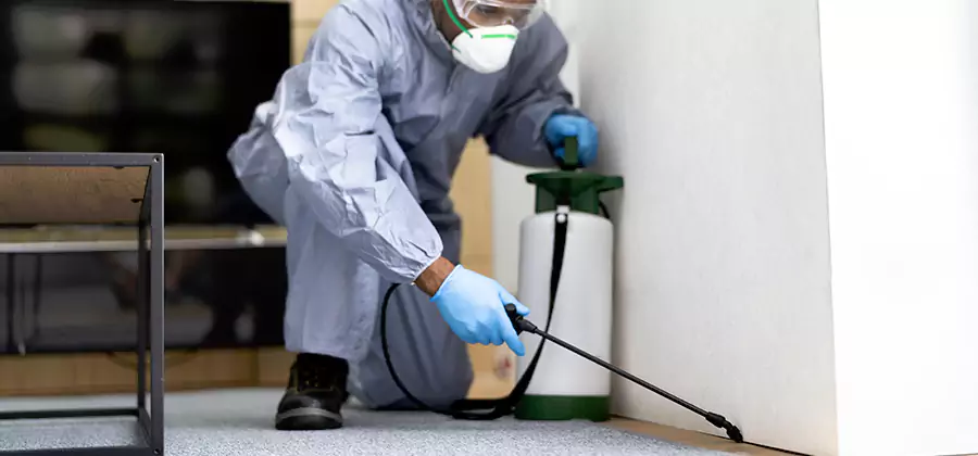 Wood Protection Termite Treatment in Acworth