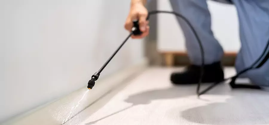 Direct Termite Injection Treatment in Acworth