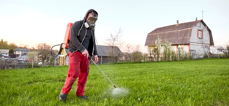 Flea and Tick Pest Control in Acworth