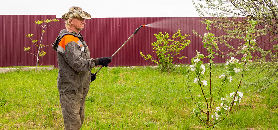 Flea and Tick Spray for Yard in Acworth