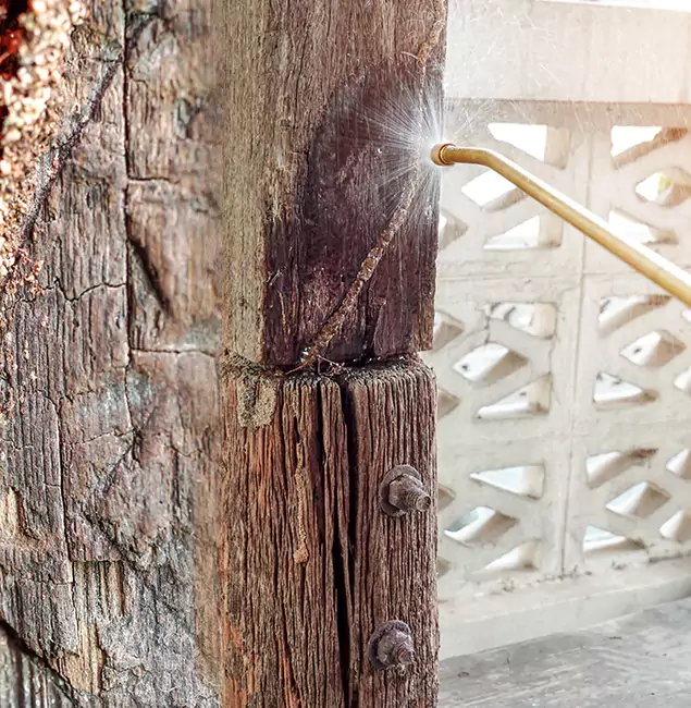 Why Choose Acworth Pest Control Services for Attic Termite Treatment in Acworth, GA?