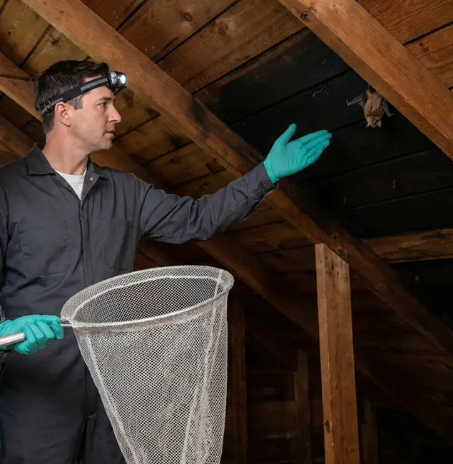 Why Acworth Pest Control Services Is the Right Choice in Acworth, GA?