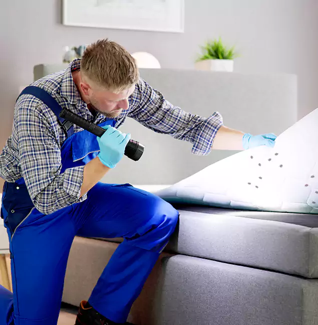 Why Choose Acworth Pest Control Services for Bed Bug Exterminator Cost in Acworth, GA?