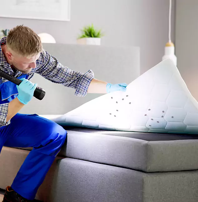 Why Choose Acworth Pest Control Services in Acworth, GA?
