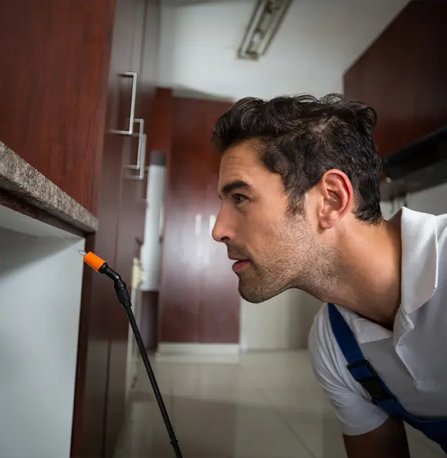 Why Choose Acworth Pest Control Services for Bed Bug Removal Cost in Acworth, GA?