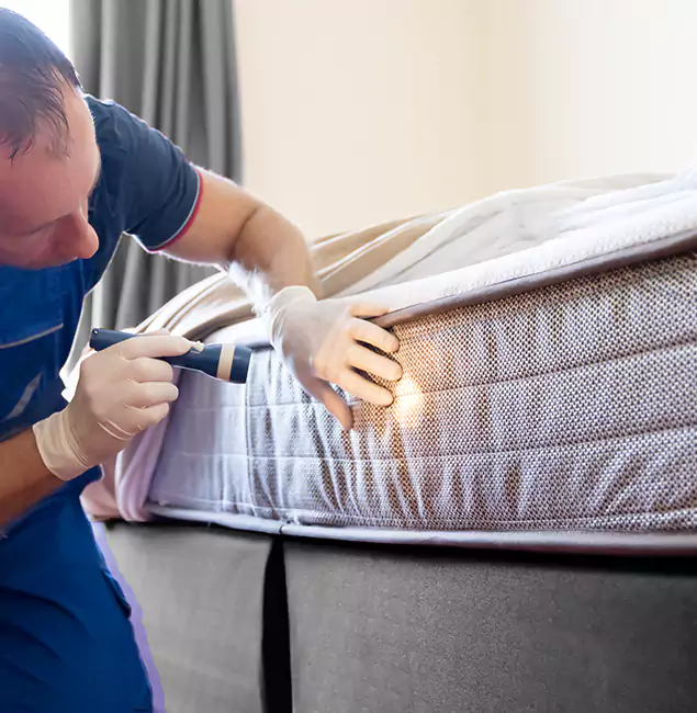 Why Choose Acworth Pest Control Services for Bed Bug Services in Acworth, GA?
