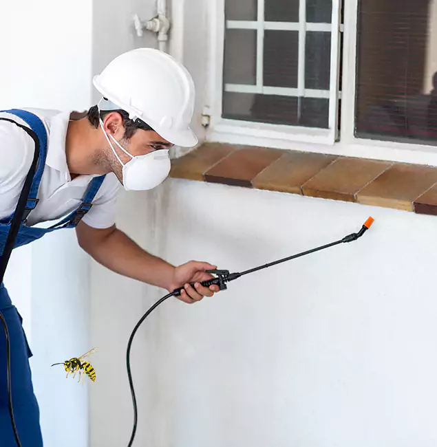 Why Acworth Property Owners Choose Acworth Pest Control Services for Bee Nest Removal?