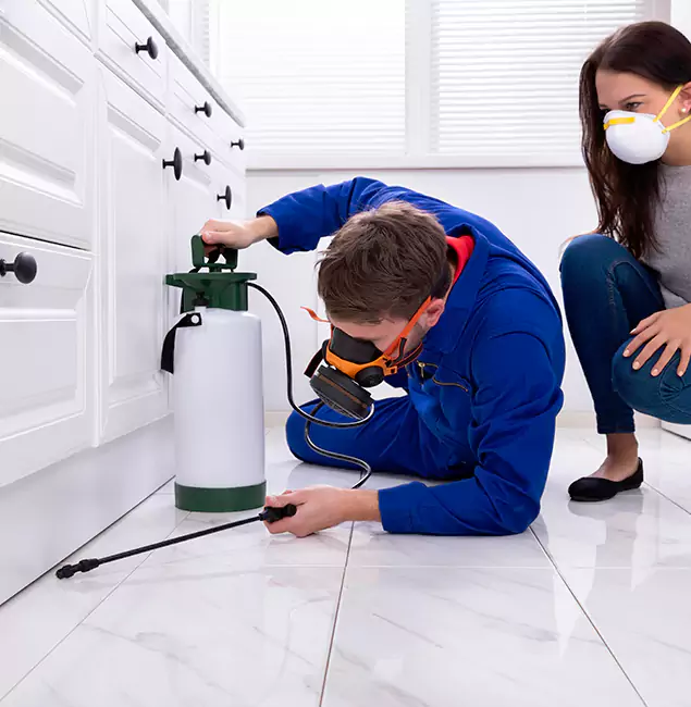 Why Choose Acworth Pest Control Services in Acworth, GA?
