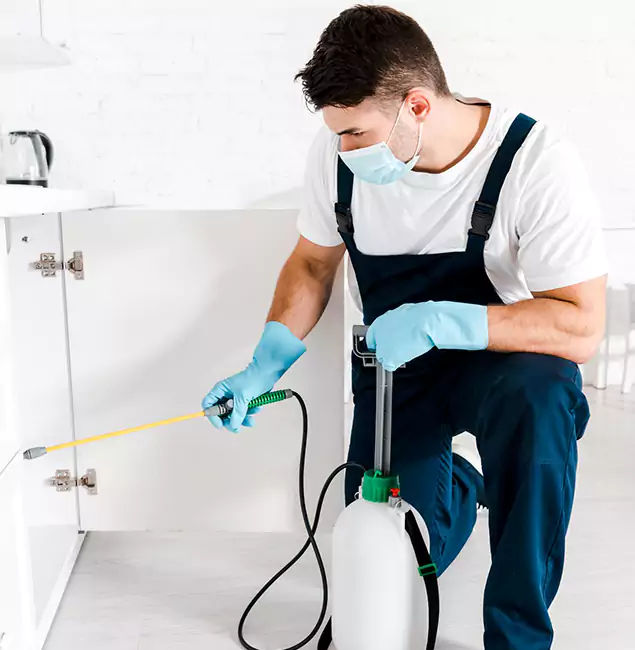 Why Choose Acworth Pest Control Services for Emergency Pest Control in Acworth?