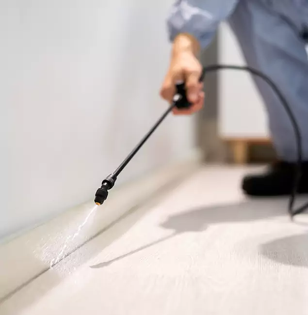 Why Choose Acworth Pest Control Services for Termite Treatment in Acworth, GA?