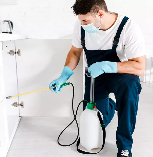 Why Acworth, GA Homeowners Trust Us for German Roach Control?