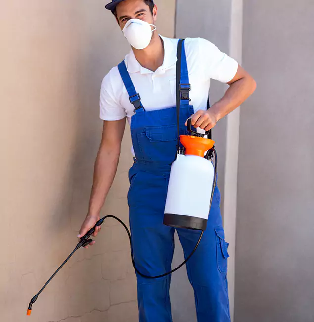 What Makes Acworth Pest Control Services the Right Choice in Acworth, GA?