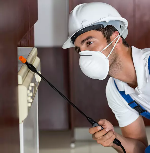 Why Acworth Homeowners Rely on Acworth Pest Control Services for Tick Treatment?