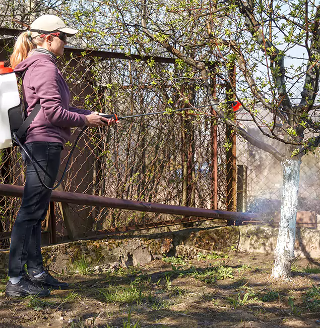 Why Acworth Homeowners Choose Acworth Pest Control Services for Mosquito Abatement?
