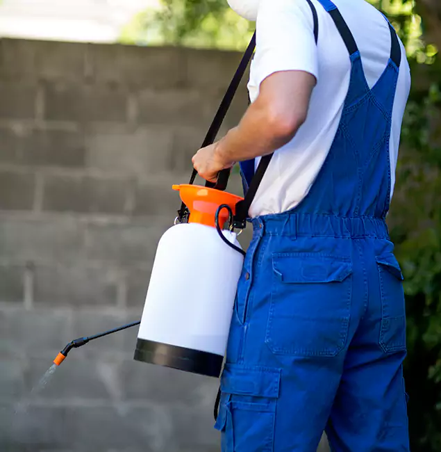 Why Acworth Homeowners Rely on Acworth Pest Control Services for Mosquito Control?