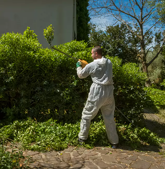 Why Acworth Pest Control Services Leads Mosquito Control in Acworth, GA?