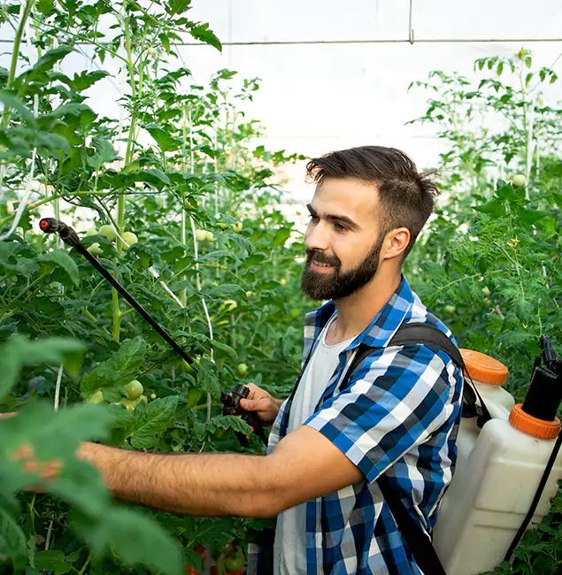 Why Acworth Homeowners Choose Acworth Pest Control Services for Mosquito Spraying?