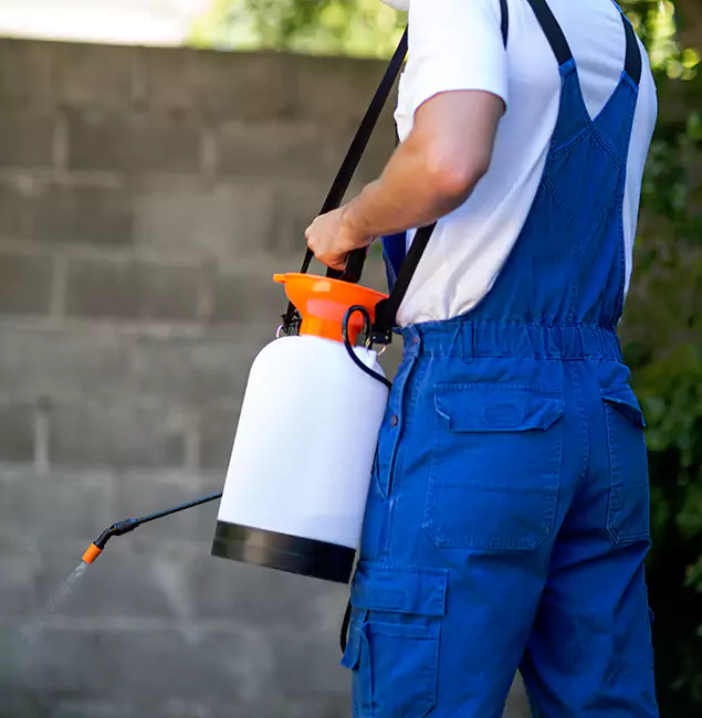 Why Acworth Pest Control Services Delivers the Best Mosquito Control in Acworth, GA?