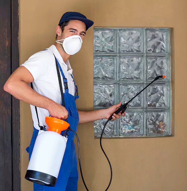 Why Acworth Pest Control Services Provides the Best Mosquito Control for Yard Properties in Acworth, GA?