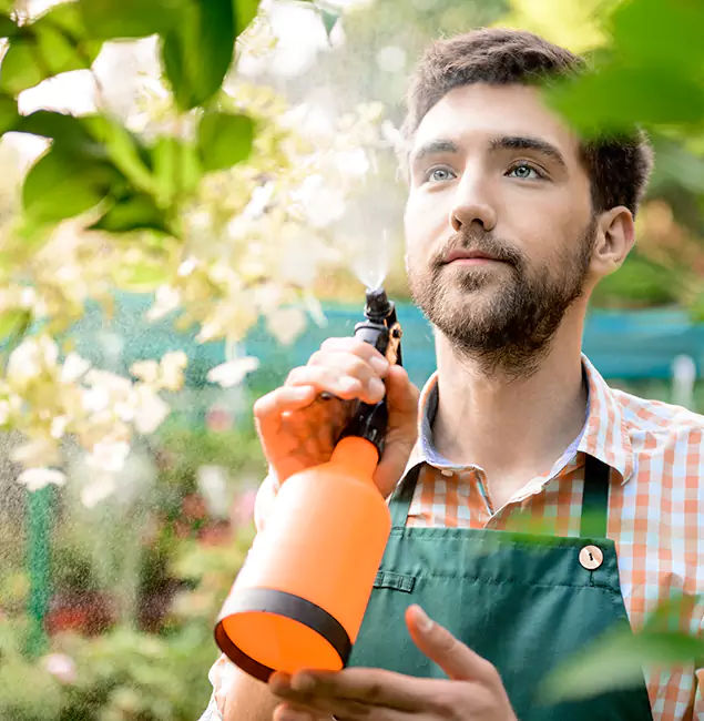 Why Acworth Homeowners Call Acworth Pest Control Services for Mosquitoes in House?