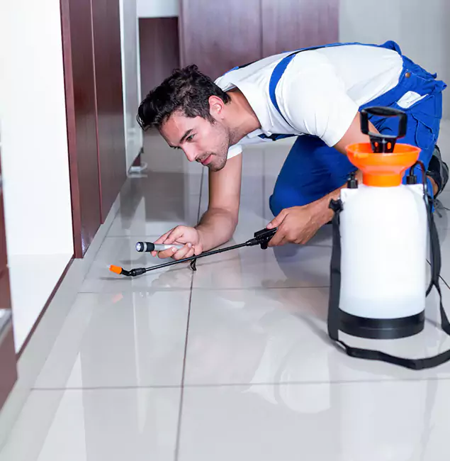 Why Acworth Pest Control Services Is the Proven Choice in Acworth, GA?