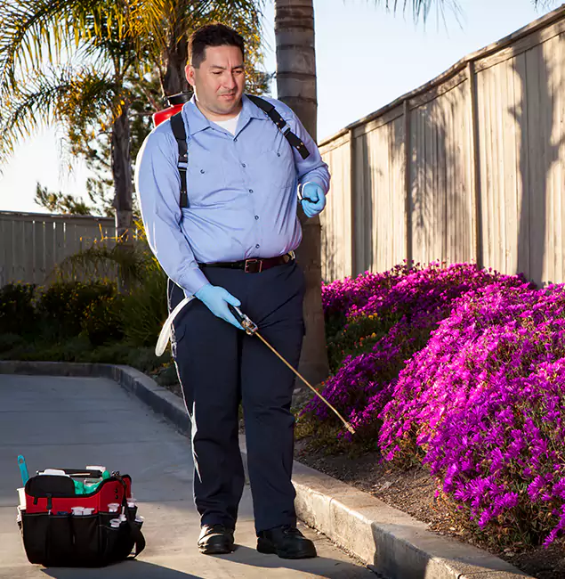 Why Choose Acworth Pest Control Services in Acworth, GA?