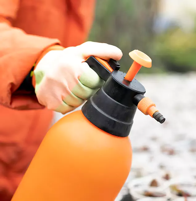 Why Choose Acworth Pest Control Services for Orange Termite Treatment in Acworth, GA?