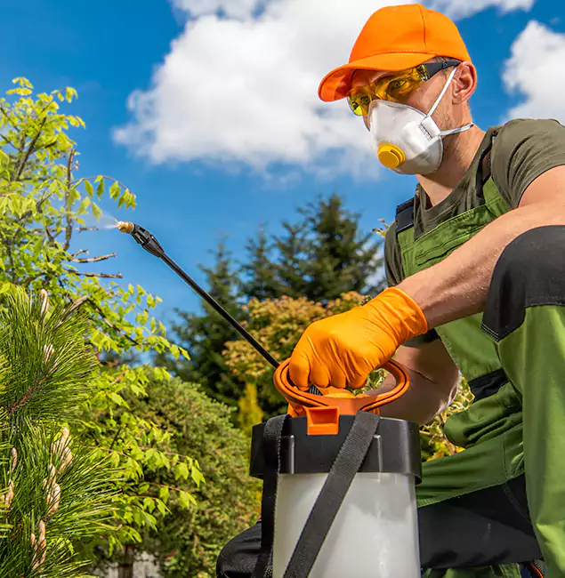 Why Choose Acworth Pest Control Services for Outdoor Pest Control in Acworth, GA?