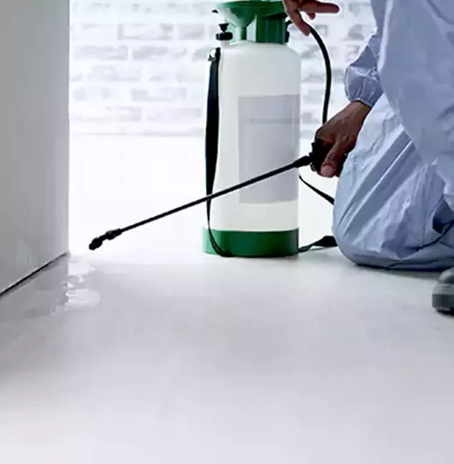 Why Choose Acworth Pest Control Services for Rat Exterminator in Acworth, GA?