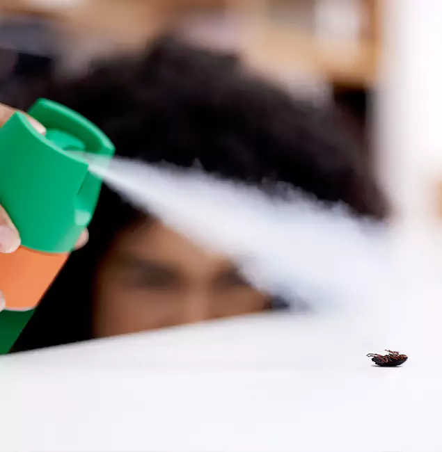Why Acworth, GA Homeowners Choose Acworth Pest Control Services for Roach Pest Control?