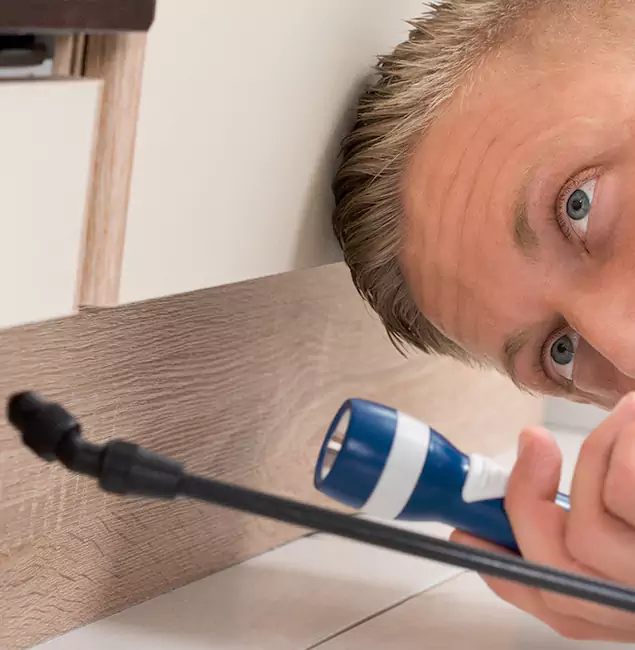 Why Choose Acworth Pest Control Services for Rodent Exterminator in Acworth, GA?