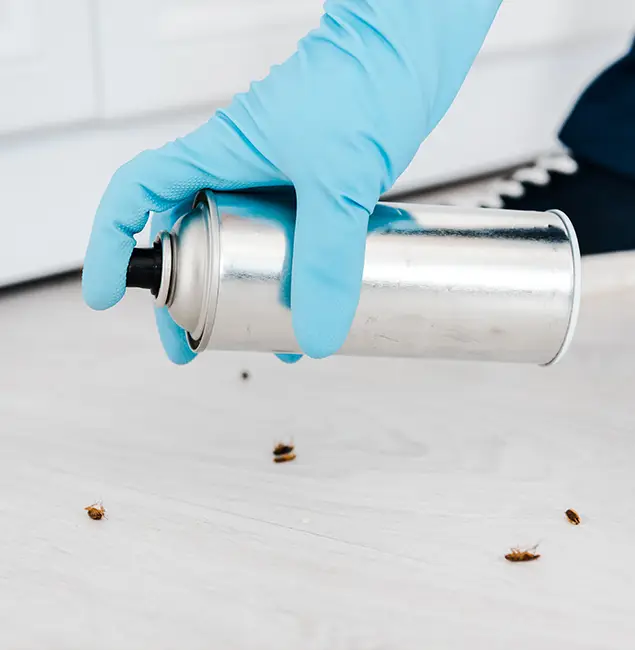 Why Choose Acworth Pest Control Services for Safe Bed Bug Treatment in Acworth, GA?