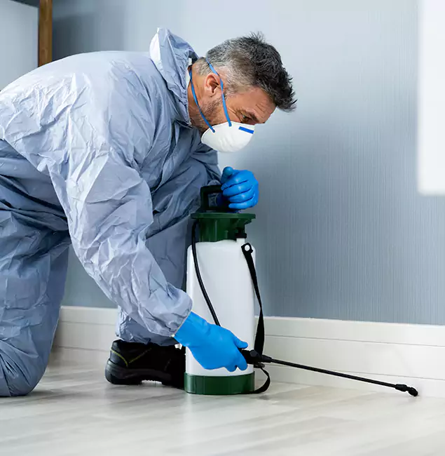 Why Choose Acworth Pest Control Services for Subterranean Termites Treatment in Acworth, GA?