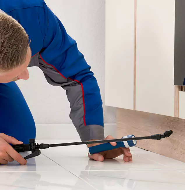 Why Acworth Residents Choose Acworth Pest Control Services to Get Rid of Sugar Ants?