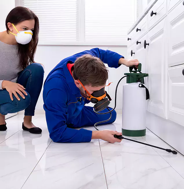 Why Choose Acworth Pest Control Services for Termite Inspection Cost in Acworth, GA?