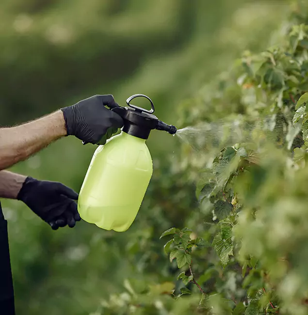Why Acworth Homeowners Choose Acworth Pest Control Services for Yard Tick Treatment?