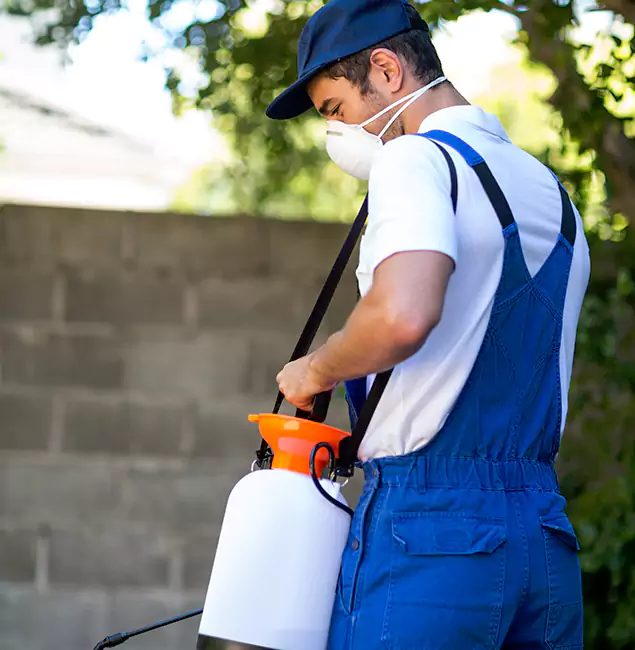 Why Acworth Pest Control Services Is the Right Choice for Yellow Jacket Removal in Acworth, GA?