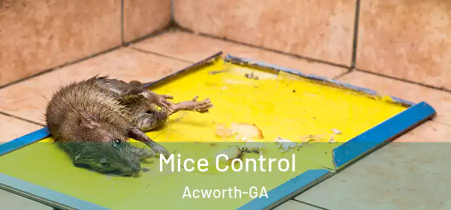 Mice Control Acworth-GA