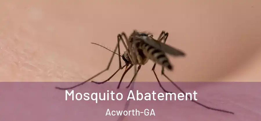  Mosquito Abatement Acworth-GA