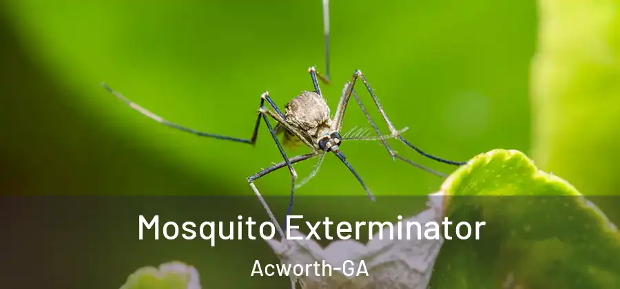  Mosquito Exterminator Acworth-GA